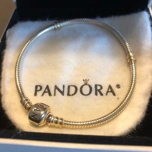 Pandora Bracelet